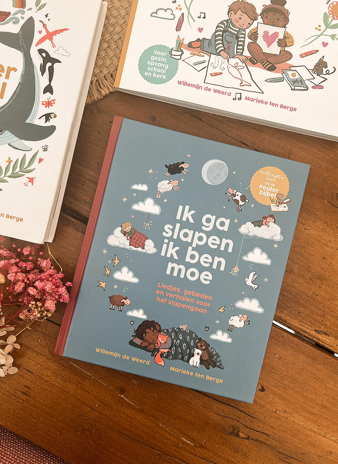review ervaring ik ga slapen ik ben moe boek christelijk bedtijd boek voor peuters kleuters kinderen Willemijn de weerd